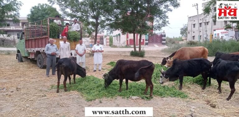 ਬੇਸਹਾਰਾ ਗਊ ਧਨ ਦੀ ਸੇਵਾ ਲਈ ਹਰ ਸਮੇਂ ਤਤਪਰ ਰਹਿੰਦੀ ਹੈ ਪੰ. ਸ਼ਿਵ ਸ਼ਰਮਾ ਦੀ ਟੀਮ