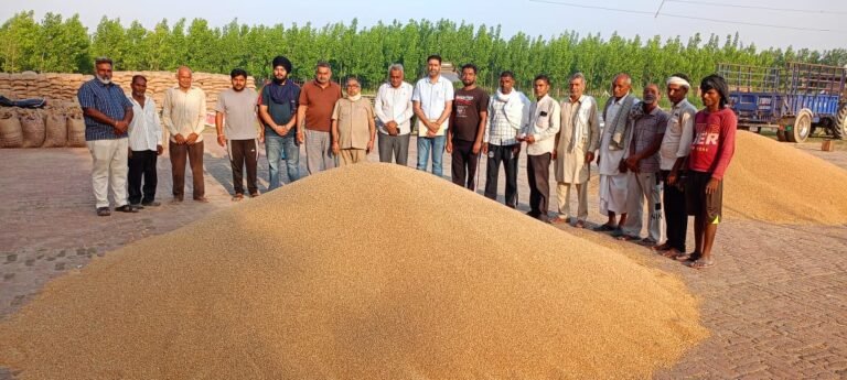 ਕਿਸਾਨਾਂ ਦੀ ਫਸਲ ਦਾ ਇਕ ਇਕ ਦਾਣਾ ਖਰੀਦੀਆਂ ਜਾਵੇਗਾ: ਸਤਨਾਮ ਜਲਾਲਪੁਰ