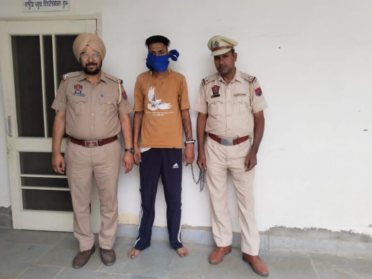 30 ਖੁੱਲੇ ਨਸ਼ੀਲੇ ਕੈਪਸੂਲਾਂ ਸਮੇਤ ਇਕ ਕਾਬੂ