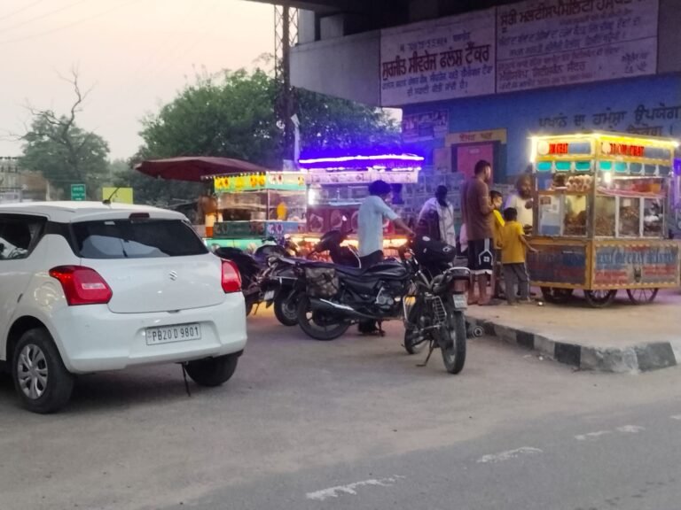 ਬਲਾਚੌਰ ਕੰਗਣਾ ਪੁਲ ਦੇ ਨੀਚੇ ਨੈਸ਼ਨਲ ਹਾਈਵੇ ਵੱਲੋਂ ਫੁੱਲ ਬੂਟੇ ਵਾਸਤੇ ਬਣਾਈ ਗਈ ਪਾਰਕ ਤੇ ਪ੍ਰਵਾਸੀਆਂ ਨੇ ਕੀਤਾ ਕਬਜਾ 