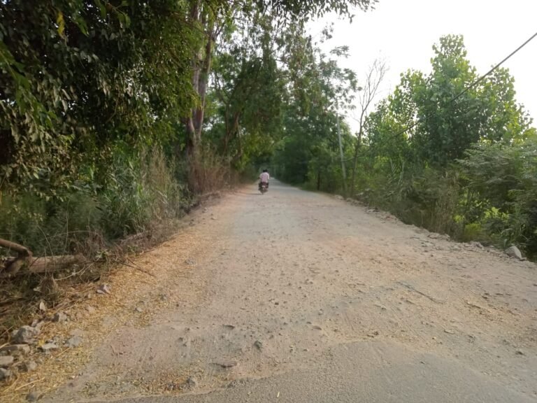 ਚ ਵਰਕ ਨੂੰ ਵੀ ਤਰਸੀਆਂ ਕਾਠਗੜ੍ਹ ਹਲਕੇ ਦੀਆਂ ਖਸਤਾ ਹਾਲ ਲਿੰਕ ਸੜਕਾਂ