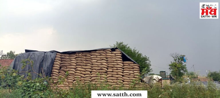 ਕਾਠਗੜ੍ਹ ਦਾਣਾ ਮੰਡੀ ਵਿੱਚ ਪਏ ਮੀਂਹ ਨੇ ਮੰਡੀ ਪ੍ਰਬੰਧ ਦੀ ਖੋਲੀ ਪੋਲ