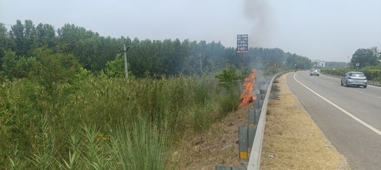 ਨੈਸ਼ਨਲ ਹਾਈਵੇ ਦੇ ਨਾਲ ਖੇਤਾਂ ਵਿੱਚ ਕਣਕ ਦੇ ਨਾੜ ਨੂੰ  ਲਗਾਈ  ਅੱਗ ਨਾਲ ਸੜਕ ਦੇ ਕਿਨਾਰੇ ਲੱਗੇ ਦਰੱਖਤ ਬੁਰੀ ਤਰ੍ਹਾਂ ਝੁਲਸੇ