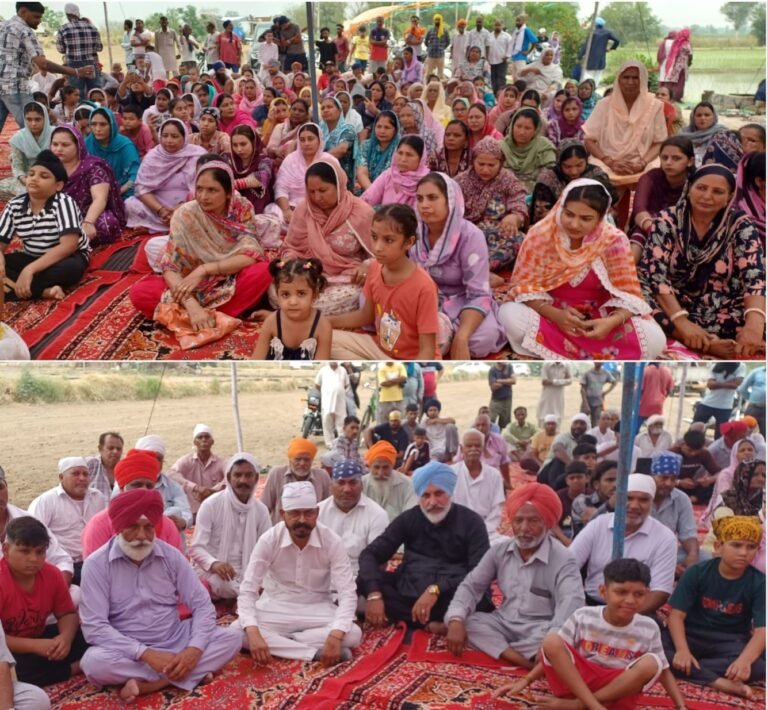 ਹਰੀਪੁਰ ਵਿਖੇ ਬਾਬਾ ਸਿੱਧੂ ਜੀ ਦੀ ਯਾਦ ਨੂੰ ਸਮਰਪਿਤ ਸਲਾਨਾ ਜੋੜ ਮੇਲਾ ਕਰਵਾਇਆ।