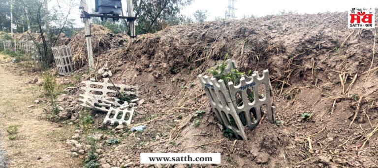 ਨਹਿਰ ਦੀ ਮਿੱਟੀ ਕੱਢ ਕੇ ਸੜਕ ਕਿਨਾਰੇ ਲਗਾਏ ਦਰੱਖਤਾਂ ਤੇ ਸੁੱਟੀ 