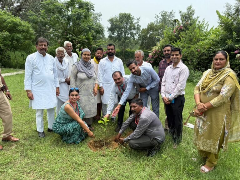 ਪੰਜਾਬ ਨੈਸ਼ਨਲ ਬੈਂਕ ਮੱਖੂਪੁਰ ਵੱਲੋਂ ਵਾਤਾਵਰਣ ਦੀ ਸ਼ੁੱਧਤਾਂ ਦੇ ਲਈ ਹਲਕਾ ਵਿਧਾਇਕਾ ਵੱਲੋਂ ਪਿੰਡ ਪਾਰਕ ਵਿੱਚ ਬੂਟਾ ਲਗਾਇਆ ਗਿਆ 