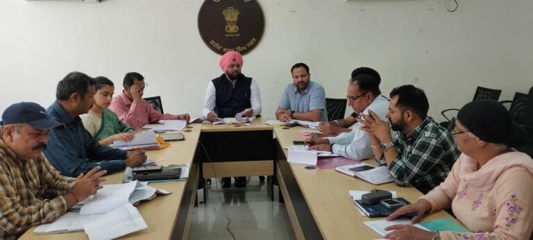 ਡਿਪਟੀ ਕਮਿਸ਼ਨਰ ਵੱਲੋਂ ਮਾਲ ਵਿਭਾਗ ਨਾਲ ਸਬੰਧਤ ਕੇਸਾਂ ਦੀ ਸਮੀਖਿਆ