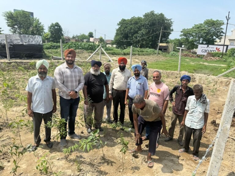 ਵਣ ਵਿਭਾਗ ਵੱਲੋਂ ਚਲਾਈ ਗਈ ਗਰੀਨ ਪੰਜਾਬ ਮਿਸ਼ਨ ਤਹਿਤ ਲਗਾਏ ਬੂਟੇ