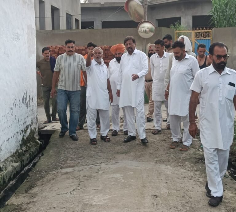 ਪਿੰਡ ਠਠਿਆਲਾ ਬੇਟ ’ਚ ਆਪ ਆਗੂ ਅਸ਼ੋਕ ਕਟਾਰੀਆ ਨੇ ਵਿਕਾਸ ਕਾਰਜ ਦਾ ਲਿਆ ਜਾਇਜਾ