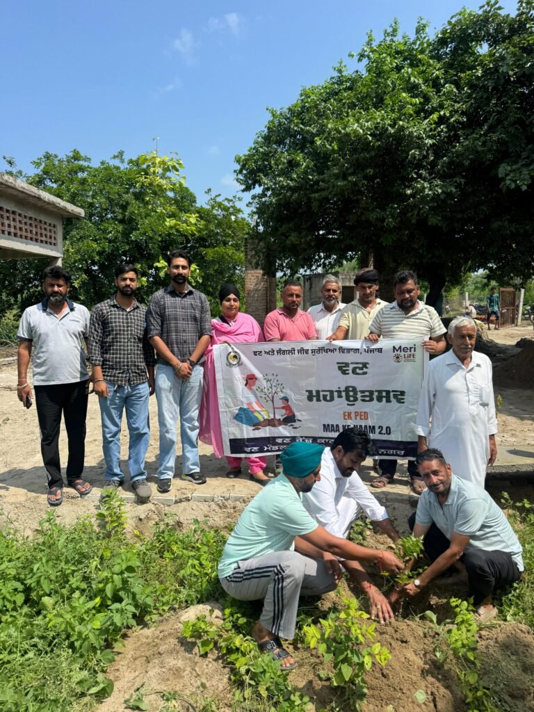 ਪਿੰਡ ਨਿੱਘੀ ਵਿਖੇ ਵਣ-ਮਹਾਂਉਤਸਵ ਮਨਾਇਆ