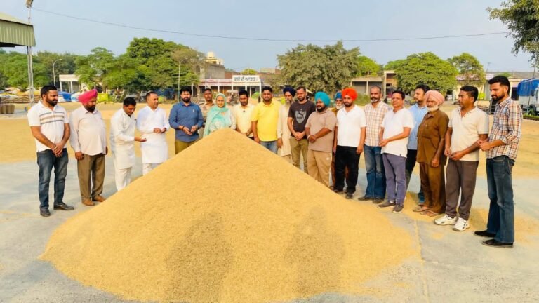 ਸੰਤੋਸ਼ ਕਟਾਰੀਆ ਨੇ ਦਾਣਾ ਮੰਡੀ ਵਿੱਚ ਝੋਨੇ ਦੀ ਕਰਵਾਈ ਖਰੀਦ ਦੀ ਸ਼ੁਰੂਆਤ 