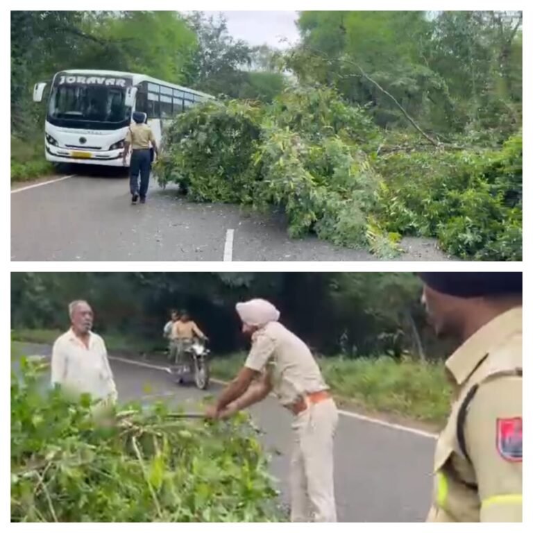 ਐਸਐਸਐਫ ਦੀ ਟੀਮ ਨੇ ਨੈਸ਼ਨਲ ਹਾਈਵੇ ਤੇ ਡਿੱਗੇ ਦਰਖਤ ਨੂੰ ਸਾਈਡ ਤੇ ਕਰਵਾ ਟ੍ਰੈਫਿਕ ਨੂੰ  ਚਾਲੂ ਕਰਵਾਇਆ 