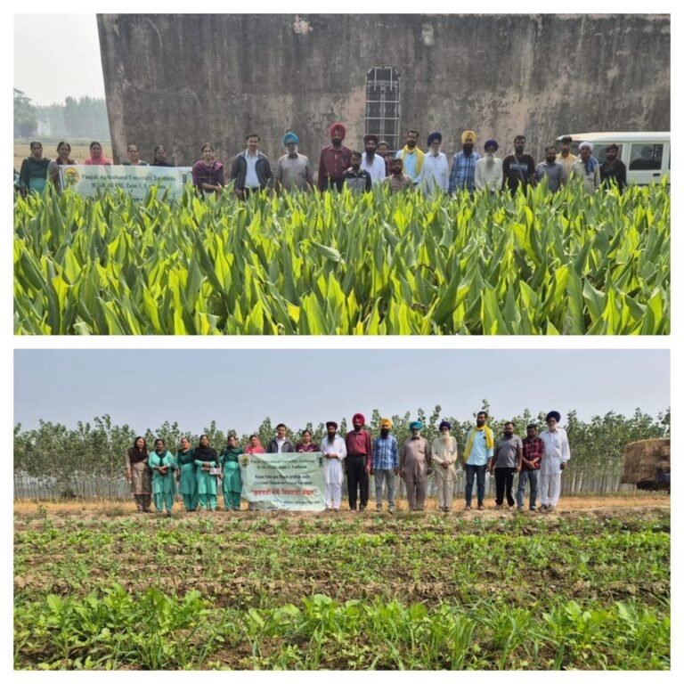 ਪੀਏਯੂ-ਕ੍ਰਿਸ਼ੀ ਵਿਗਿਆਨ ਕੇਂਦਰ ਨੇ  ਕੁਦਰਤੀ ਖੇਤੀ ਲਈ ਦਿੱਤੀ ਸਿਖਲਾਈ