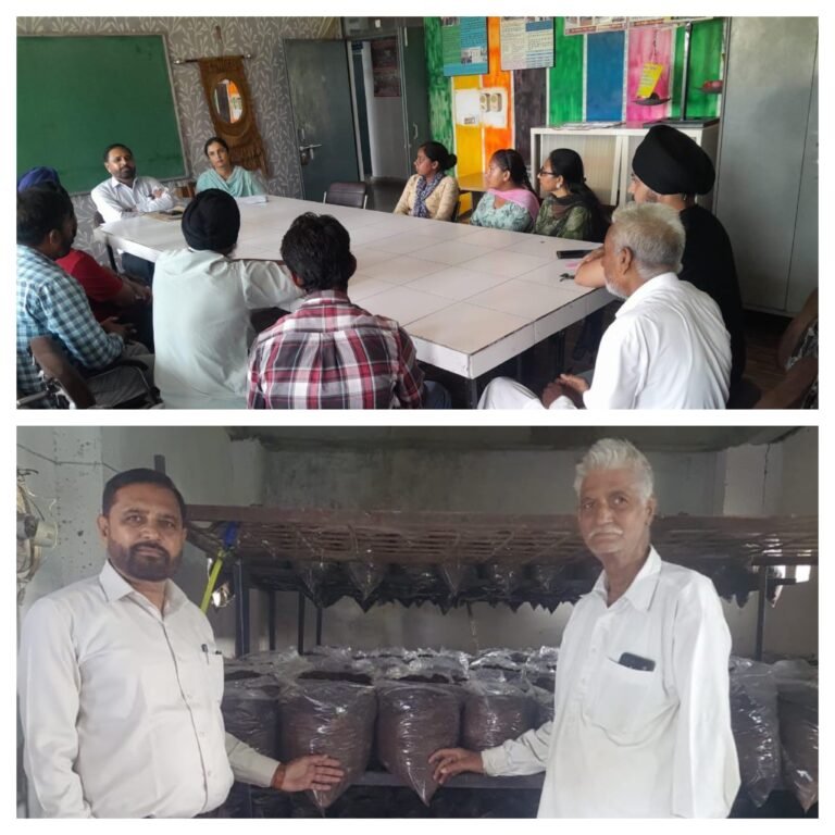 ਖੁੰਬਾਂ ਦੀ ਕਾਸ਼ਤ ਲਾਹੇਵੰਦ ਕਿੱਤਾ, ਕਿਸਾਨਾਂ ਨੂੰ ਸਹਾਇਕ ਧੰਦੇ ਅਪਣਾਉਣ ਦੀ ਅਪੀਲ 