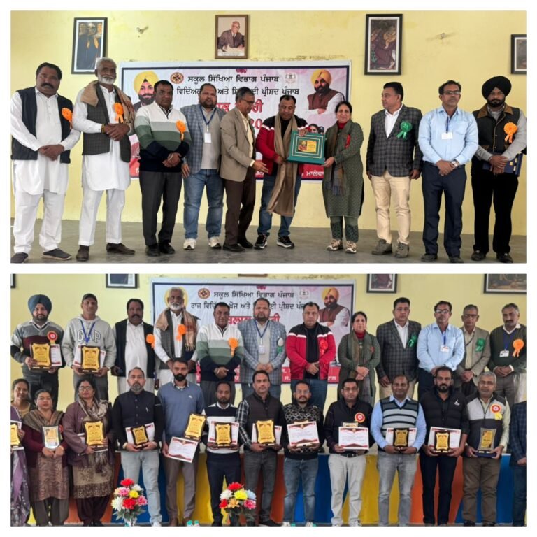 ਮਾਲੇਵਾਲ ਵਿਖੇ ਬਲਾਕ ਸੜੋਆ ਦੇ ਅਧਿਆਪਕਾਂ ਦੇ ਟੀਚਰ ਫੈਸਟ ਮੁਕਾਬਲੇ ਹੋਏ